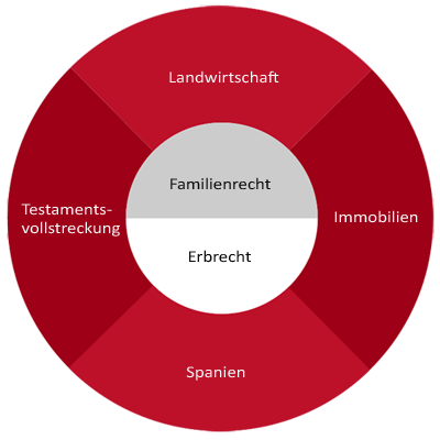 Familienrecht und Erbrecht Tätigkeitsbereiche